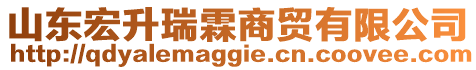 山東宏升瑞霖商貿(mào)有限公司