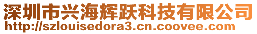 深圳市興海輝躍科技有限公司