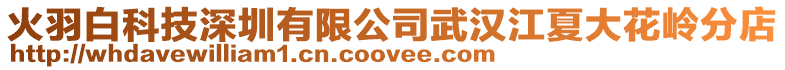 火羽白科技深圳有限公司武漢江夏大花嶺分店