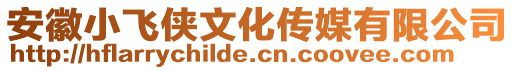 安徽小飛俠文化傳媒有限公司