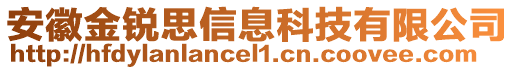 安徽金銳思信息科技有限公司