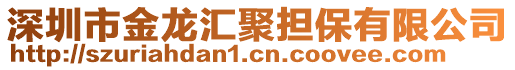 深圳市金龍匯聚擔(dān)保有限公司