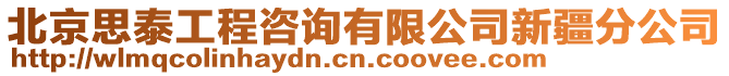 北京思泰工程咨詢有限公司新疆分公司