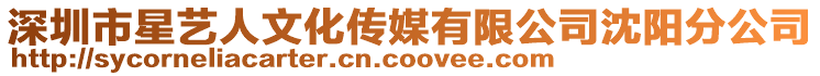 深圳市星藝人文化傳媒有限公司沈陽分公司