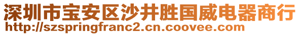 深圳市寶安區(qū)沙井勝國威電器商行