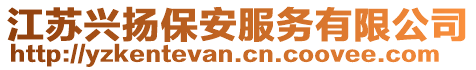 江蘇興揚保安服務有限公司