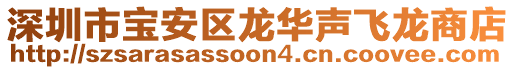 深圳市寶安區(qū)龍華聲飛龍商店