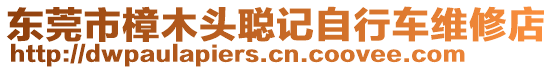 東莞市樟木頭聰記自行車維修店