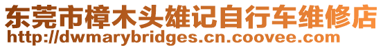 東莞市樟木頭雄記自行車維修店