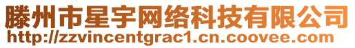 滕州市星宇網絡科技有限公司