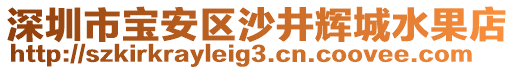 深圳市寶安區沙井輝城水果店