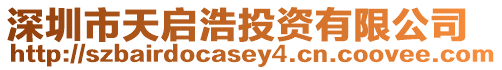 深圳市天啟浩投資有限公司