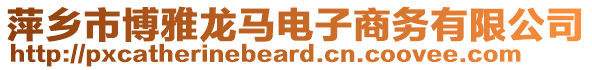 萍鄉市博雅龍馬電子商務有限公司
