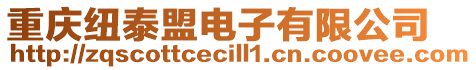重慶紐泰盟電子有限公司