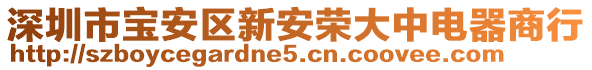 深圳市寶安區(qū)新安榮大中電器商行