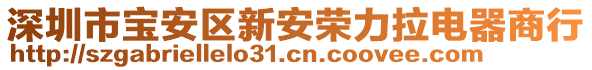 深圳市寶安區(qū)新安榮輝春電器商行