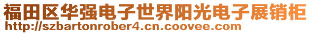 福田區華強電子世界陽光電子展銷柜