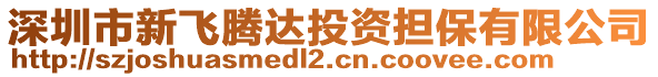 深圳市新飛騰達投資擔保有限公司