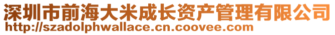 深圳市前海大米成長資產(chǎn)管理有限公司