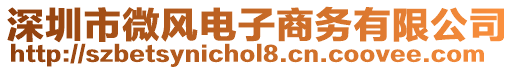 深圳市微風(fēng)電子商務(wù)有限公司