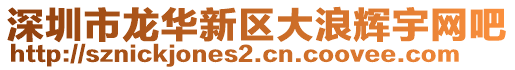 深圳市龍華新區(qū)大浪輝宇網(wǎng)吧