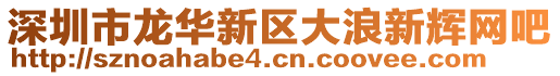 深圳市龍華新區(qū)大浪新輝網(wǎng)吧