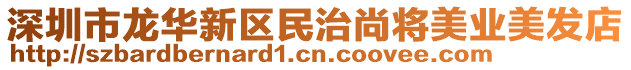 深圳市龍華新區(qū)民治尚將美業(yè)美發(fā)店