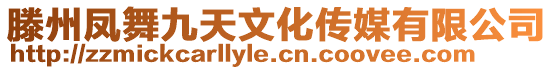 滕州鳳舞九天文化傳媒有限公司
