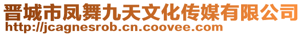 晉城市鳳舞九天文化傳媒有限公司