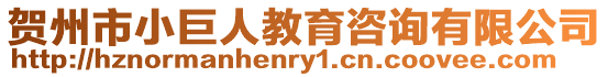 賀州市小巨人教育咨詢有限公司
