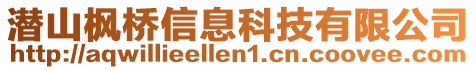 潜山枫桥信息科技有限公司