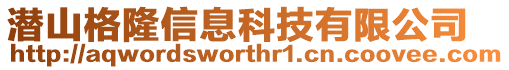 潜山格隆信息科技有限公司