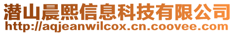 潛山晨熙信息科技有限公司