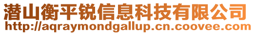 潛山衡平銳信息科技有限公司