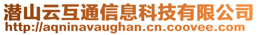 潛山云互通信息科技有限公司