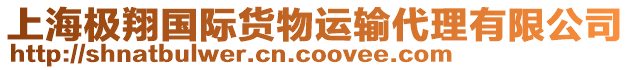 上海極翔國(guó)際貨物運(yùn)輸代理有限公司