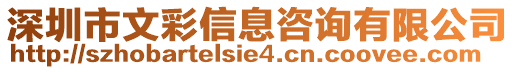 深圳市文彩信息咨詢有限公司