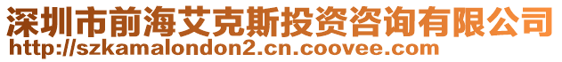 深圳市前海艾克斯投資咨詢有限公司