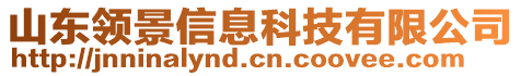 山東領(lǐng)景信息科技有限公司