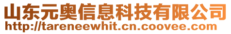 山東元奧信息科技有限公司