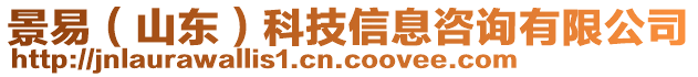 景易（山東）科技信息咨詢有限公司