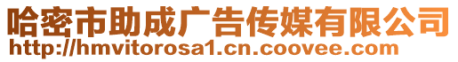 哈密市助成广告传媒有限公司