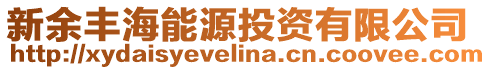 新余豐海能源投資有限公司