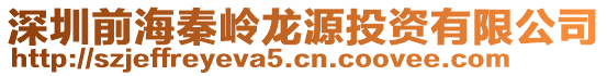 深圳前海秦嶺龍源投資有限公司