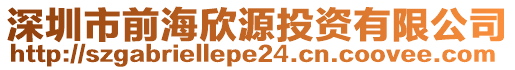 深圳市前海欣源投資有限公司