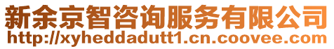 新余京智咨詢服務(wù)有限公司