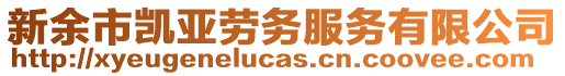 新余市凱亞勞務(wù)服務(wù)有限公司