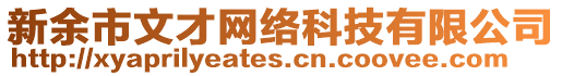 新余市文才網絡科技有限公司