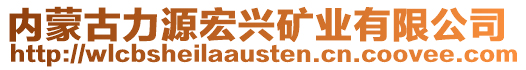 內(nèi)蒙古力源宏興礦業(yè)有限公司