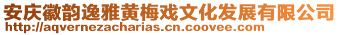 安慶徽韻逸雅黃梅戲文化發(fā)展有限公司